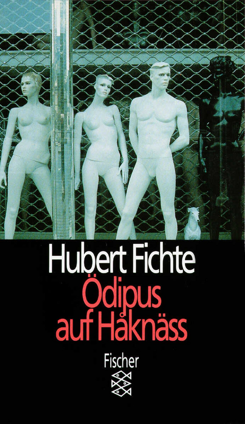 Ödipus auf Håknäss - Hubert Fichte