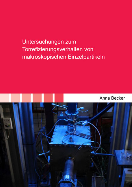 Untersuchungen zum Torrefizierungsverhalten von makroskopischen Einzelpartikeln - Anna Becker