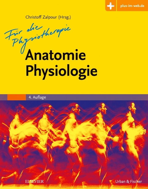 Anatomie Physiologie für die Physiotherapie - 