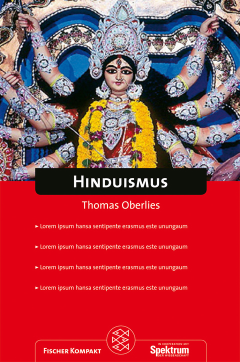 Hinduismus - Thomas Oberlies