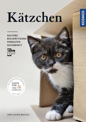 Kätzchen - Anne-Katrin Mausolf