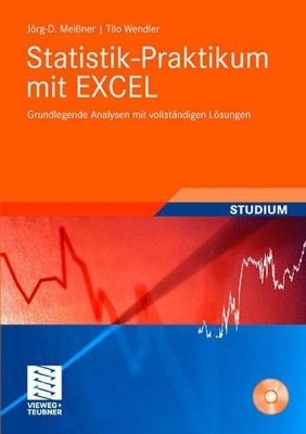 Statistik-Praktikum mit Excel - Jörg Meißner, Tilo Wendler