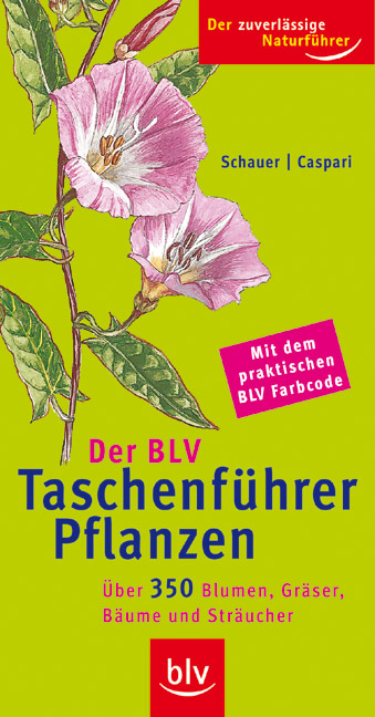 Der BLV Taschenführer Pflanzen - Thomas Schauer, Claus Caspari