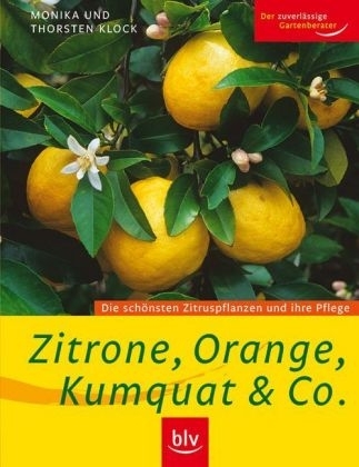 Zitrone, Orange, Kumquat & Co. - Monika Klock, Thorsten Klock