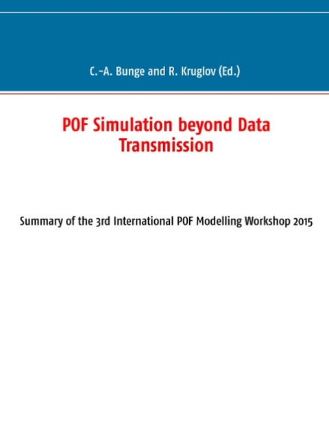 POF Simulation beyond Data Transmission - 