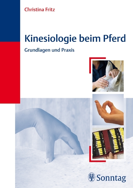 Kinesiologie beim Pferd - Christina Fritz