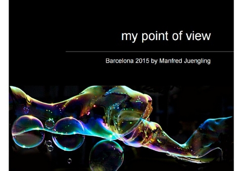 my point of view - manfred juengling