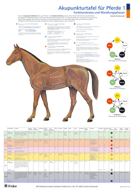 Akupunkturtafeln für Pferde 1 + 2 - Carola Krokowski