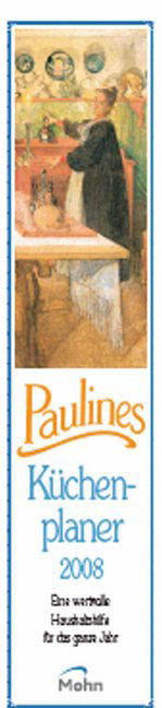 Paulines Küchenplan 2008