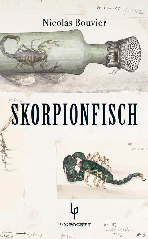Skorpionfisch - Nicolas Bouvier