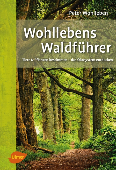 Wohllebens Waldführer - Peter Wohlleben