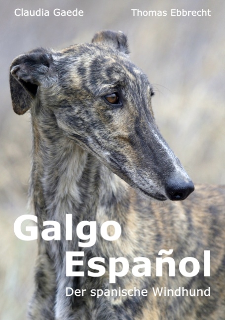 Galgo Español