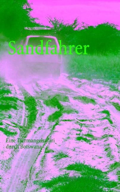 Sandfahrer - Robert Pfrogner