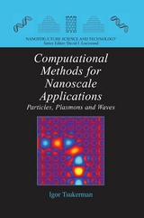Computational Methods for Nanoscale Applications -  Igor Tsukerman