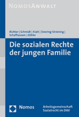 Die sozialen Rechte der jungen Familie - Ronald Richter, Bettina Schmidt, Michael Klatt, Gudrun Doering-Striening, Martin Schafhausen, Hajo A. Köhler