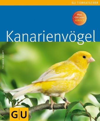 Kanarienvögel - Thomas Haupt