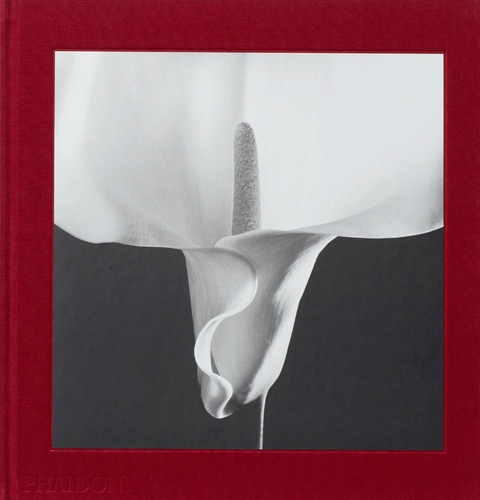 Mapplethorpe Flora - 