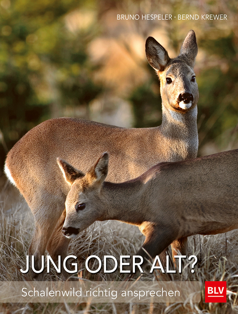 Jung oder alt? - Bernd Krewer, Bruno Hespeler