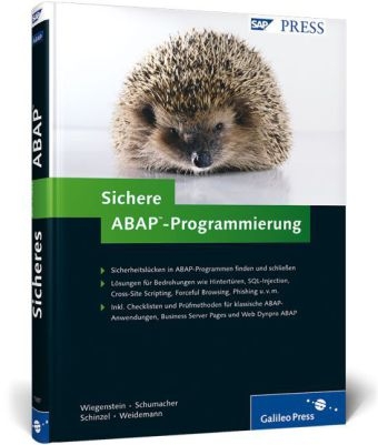 Sichere ABAP-Programmierung - Andreas Wiegenstein, Markus Schumacher, Sebastian Schinzel, Frederik Weidemann