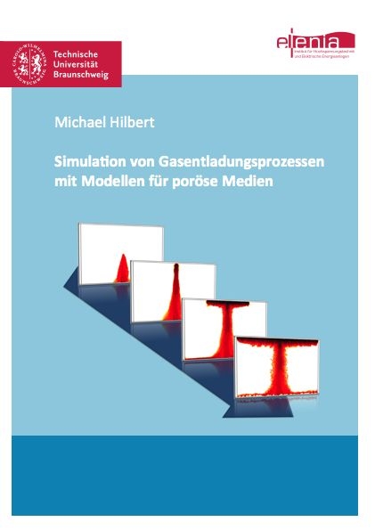 Simulation von Gasentladungsprozessen mit Modellen für poröse Medien - Michael Hilbert