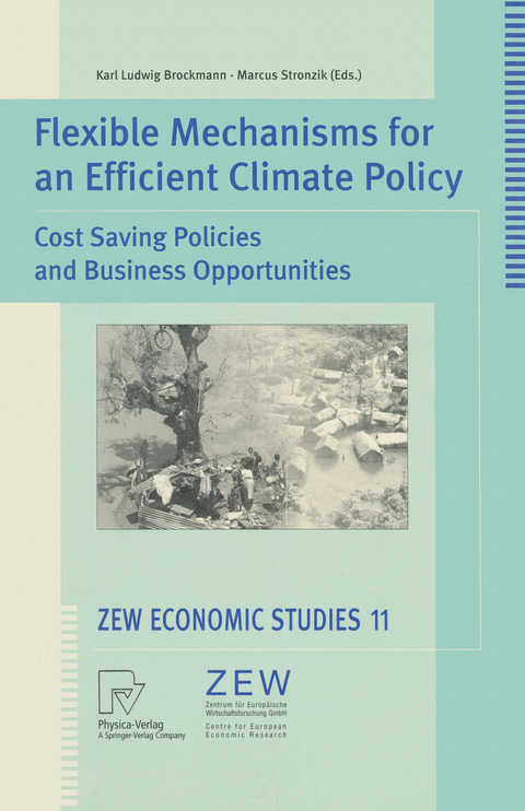 Flexible Mechanisms for an Efficient Climate Policy - 