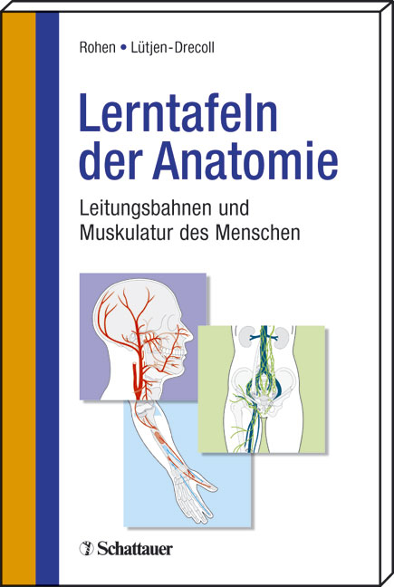 Lerntafeln der Anatomie - Johannes W Rohen, Elke Lütjen-Drecoll