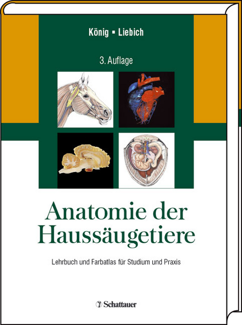 Anatomie der Haussäugetiere - 