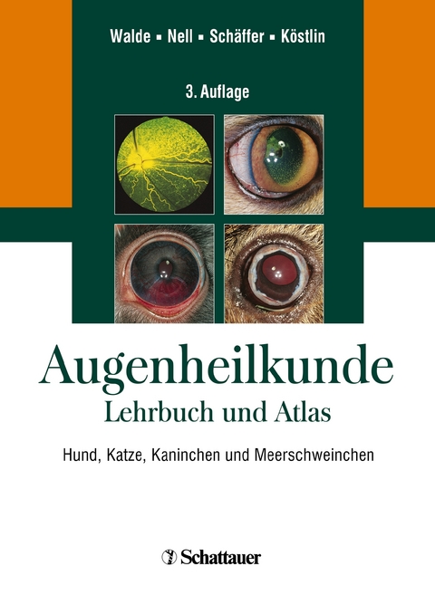 Augenheilkunde - 