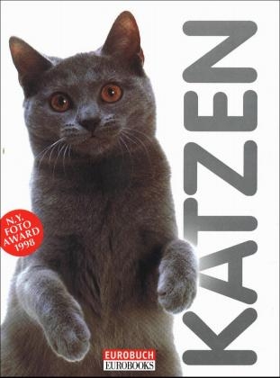 Katzen - Gloria Stephens