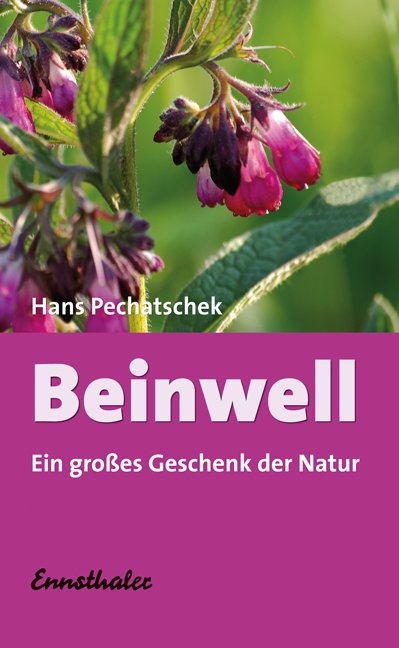 Beinwell - Hans Pechatschek