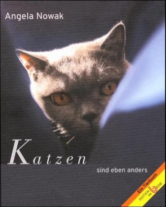 Katzen - Angela Nowak