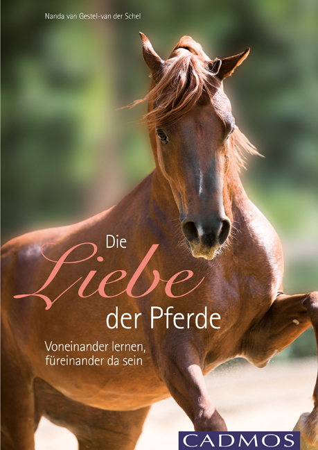 Die Liebe der Pferde - Nanda van Gestel-van der Schel