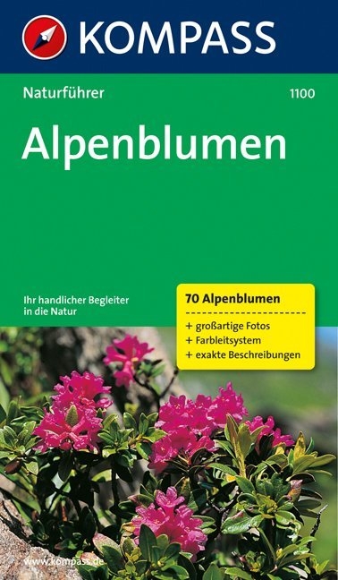 Alpenblumen - Christine Jaitner