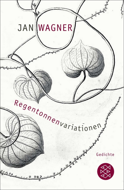 Regentonnenvariationen - Jan Wagner