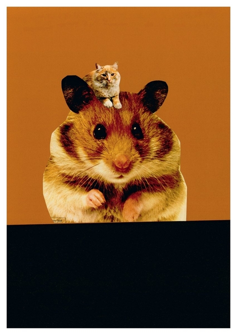 Ohne Titel / Hamster (Postkarte, 20 Ex) - Tomi Ungerer