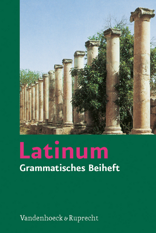 Latinum. Grammatisches Beiheft - Helmut Schlüter; Kurt Steinicke