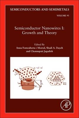 Semiconductor Nanowires I: Growth and Theory - 