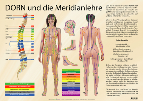 DORN und die Meridianlehre