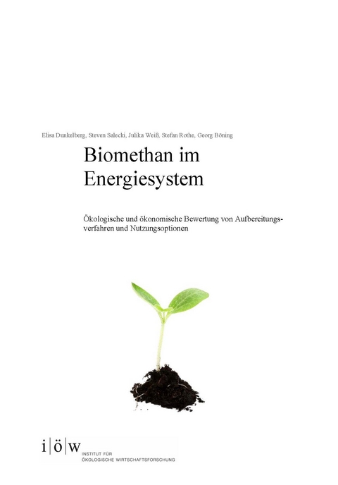 Biomethan im Energiesystem. - Elisa Dunkelberg, Steven Salecki, Julika Weiß, Stefan Rothe, Georg Böning