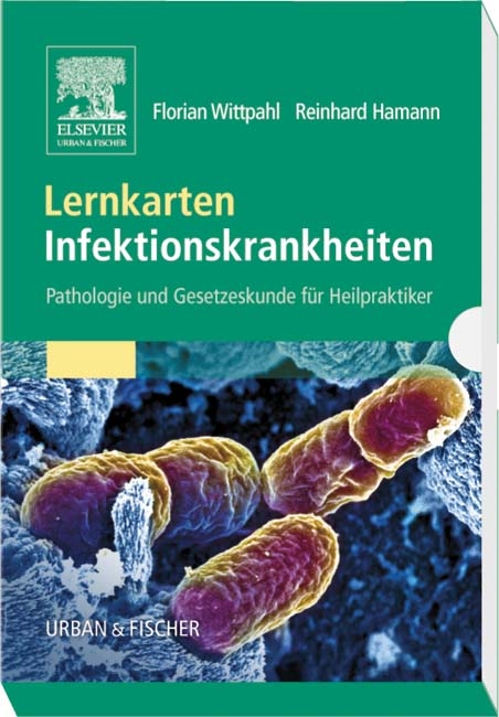 Lernkarten Infektionskrankheiten - Florian Wittpahl, Reinhard Hamann