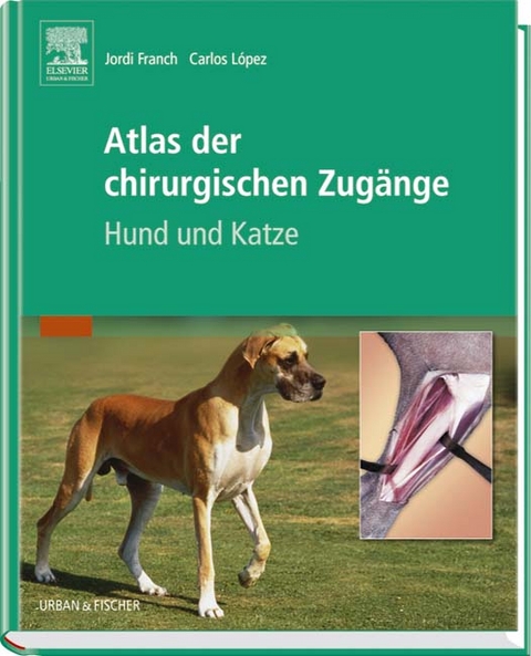 Atlas der chirurgischen Zugänge - Jordi Franch, Carlos Lopez