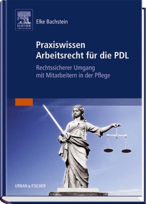 Praxiswissen Arbeitsrecht für die PDL - Elke Bachstein