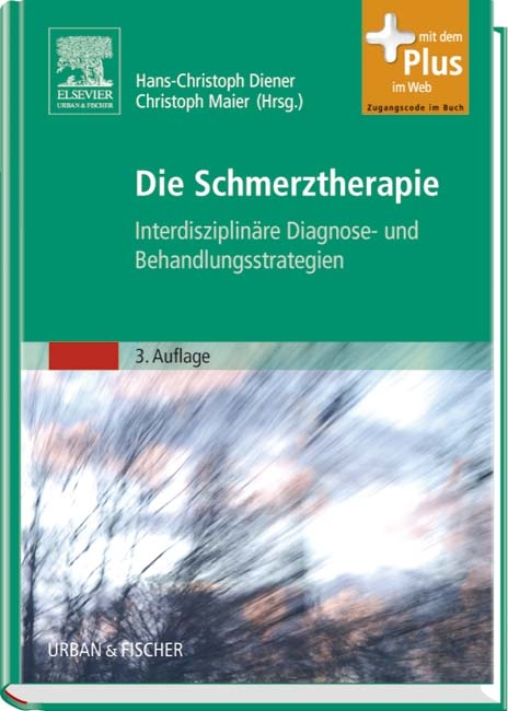 Die Schmerztherapie - 