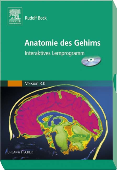 Anatomie des Gehirns - Rudolf Bock