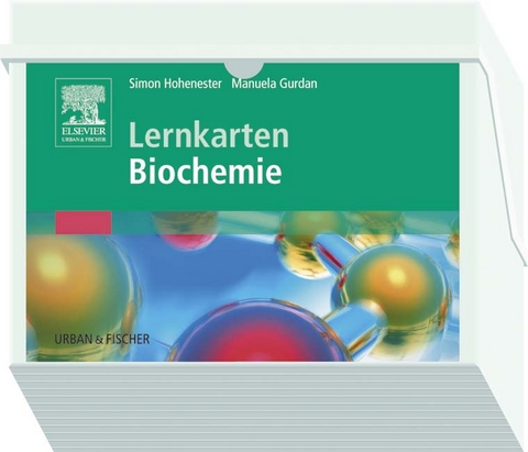 Lernkarten Biochemie - Simon Hohenester, Manuela Gurdan