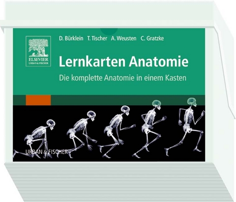 Lernkarten Anatomie - Dominik Bürklein, Axel Weusten, Thomas Tischer, Christian Gratzke