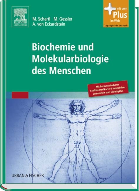 Biochemie und Molekularbiologie des Menschen - 