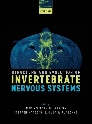 Structure and Evolution of Invertebrate Nervous Systems - Andreas Schmidt-Rhaesa, Steffen Harzsch, Günter Purschke