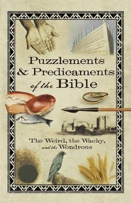 Puzzlements & Predicaments of the Bible -  Howard Books