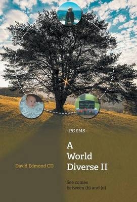 A World Diverse II - David Edmond